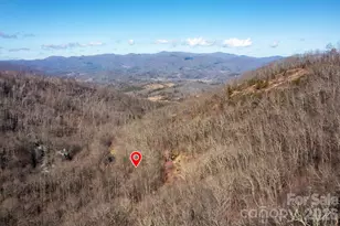 37 Grinnin Sun Rd, Burnsville, NC 28714 - Photo 35