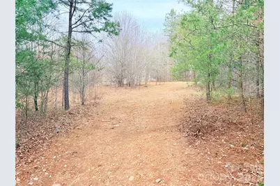 1266 Old Lincolnton Crouse Road, Crouse, NC 28033 - Photo 21