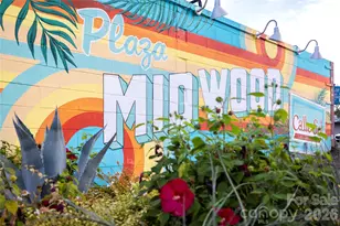 2101 The Plaza Rd, Charlotte, NC 28205 - Photo 41