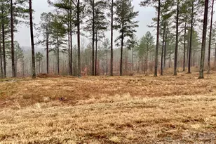 1838 Jumping Run, Connelly Springs, NC 28612 - Photo 1