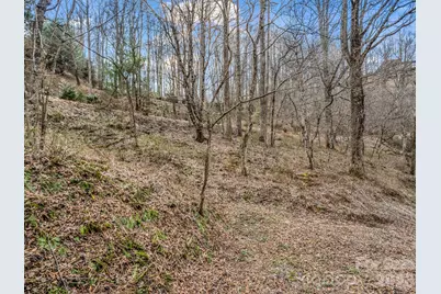 99999 Rose Hill Road, Asheville, NC 28803 - Photo 25