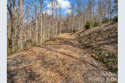 99999 Rose Hill Road, Asheville, NC 28803 - Photo 21