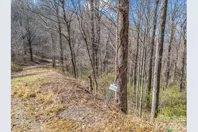 99999 Rose Hill Road, Asheville, NC 28803 - Photo 15