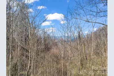 99999 Rose Hill Road, Asheville, NC 28803 - Photo 19