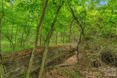 0000 Lucy Short Cut Road #2, Marshville, NC 28103 - Photo 13