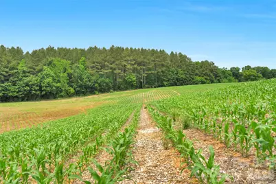 0000 Lucy Short Cut Road #2, Marshville, NC 28103 - Photo 17