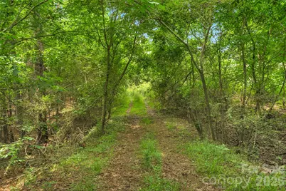 0000 Lucy Short Cut Road #2, Marshville, NC 28103 - Photo 21