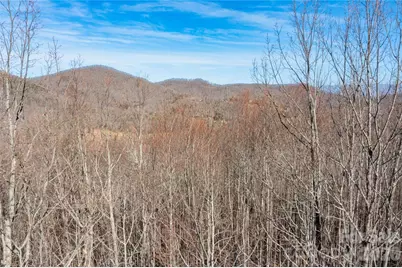 1306 Double Knob Drive, Arden, NC 28704 - Photo 19