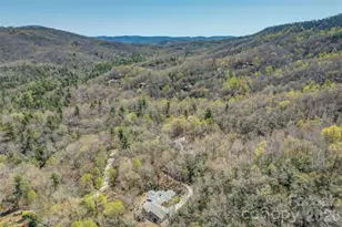 466 Sweetwater Ln, Pisgah Forest, NC 28768 - Photo 3