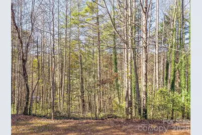 Lots 14 & 15 Mountain Lake Drive, Hendersonville, NC 28739 - Photo 5
