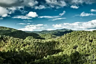 55 Laurel Rdg, Marshall, NC 28753 - Photo 9