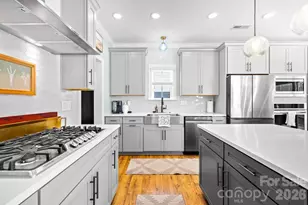 2509 St James Church Rd, Denver, NC 28037 - Photo 13