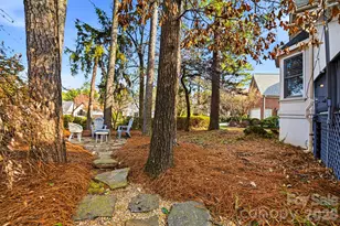 17206 Players Ridge Dr, Cornelius, NC 28031 - Photo 43