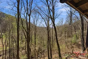 1837 E Alarka Rd, Bryson City, NC 28713 - Photo 9