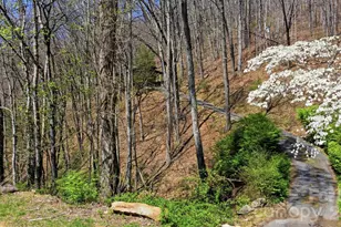 1837 E Alarka Rd, Bryson City, NC 28713 - Photo 11