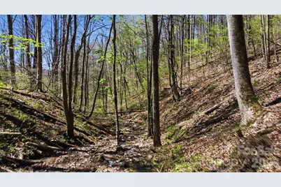 1837 E Alarka Road, Bryson City, NC 28713 - Photo 17