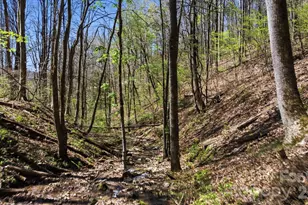 1837 E Alarka Rd, Bryson City, NC 28713 - Photo 17
