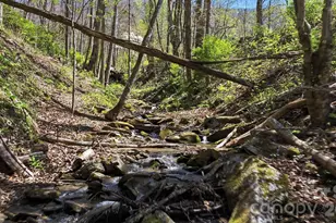 1837 E Alarka Rd, Bryson City, NC 28713 - Photo 15