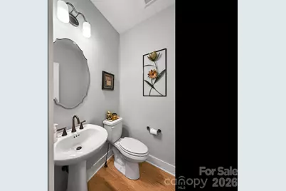554 Sweet Birch Park Lane, Black Mountain, NC 28711 - Photo 23