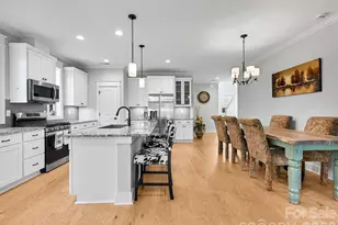554 Sweet Birch Park Ln, Black Mountain, NC 28711 - Photo 11