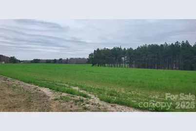 650 Farmers Market Road, Biscoe, NC 27209 - Photo 3