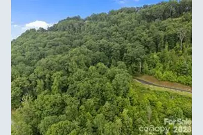 W12 Curtain Bluff, Hendersonville, NC 28791 - Photo 9