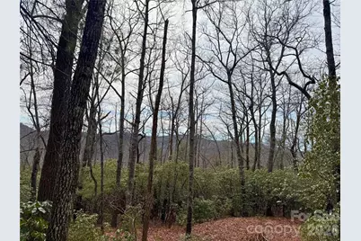Tbd Laurel Thicket Lane, Brevard, NC 28712 - Photo 1