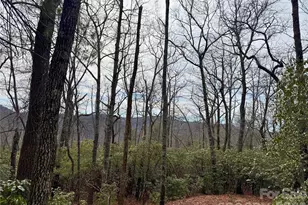 Tbd Laurel Thicket Ln, Brevard, NC 28712 - Photo 1