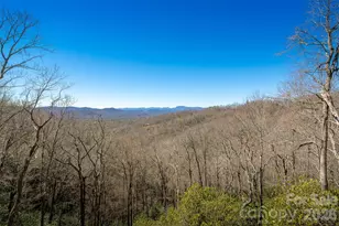 1882 Connestee Trail, Brevard, NC 28712 - Photo 39