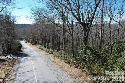 U19 L053 Gawanv Court, Brevard, NC 28712 - Photo 3