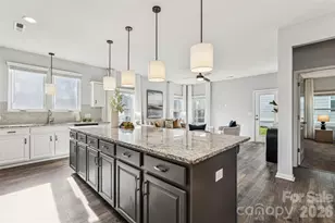 50139 Robins Nest Ln, Lancaster, SC 29720 - Photo 3