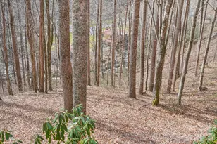 307 Roaring Creek Ln, Waynesville, NC 28786 - Photo 27