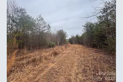 00 Baugess Mill Road, Traphill, NC 28685 - Photo 15