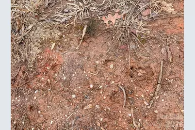 00 Baugess Mill Road, Traphill, NC 28685 - Photo 7