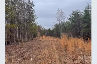 00 Baugess Mill Road, Traphill, NC 28685 - Photo 13