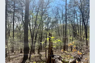 0 Pilgrim Church Road, Hiddenite, NC 28636 - Photo 1