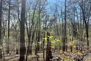 0 Pilgrim Church Rd, Hiddenite, NC 28636 - Photo 1