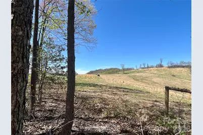 0 Pilgrim Church Road, Hiddenite, NC 28636 - Photo 3