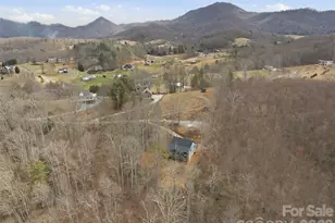 288 Ironwood Dr, Clyde, NC 28721 - Photo 7