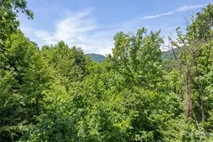 288 Ironwood Dr, Clyde, NC 28721 - Photo 9