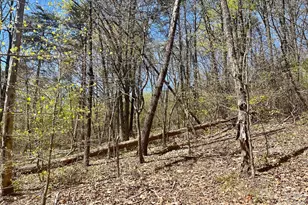 0000 Pilgrim Church Rd, Hiddenite, NC 28636 - Photo 1