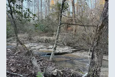 0000 Pilgrim Church Road, Hiddenite, NC 28636 - Photo 3