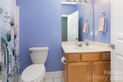 31 Little Cedar Court, Asheville, NC 28805 - Photo 19