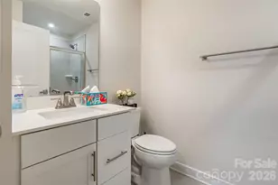 924 Broad River Ln, Charlotte, NC 28211 - Photo 21