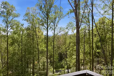 102 Sandpiper Palisades Street, Hendersonville, NC 28792 - Photo 45