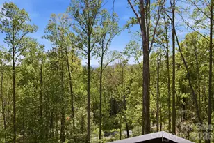 102 Sandpiper Palisades St, Hendersonville, NC 28792 - Photo 45
