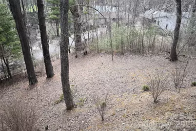 1299 Country Club Drive, Canton, NC 28716 - Photo 11