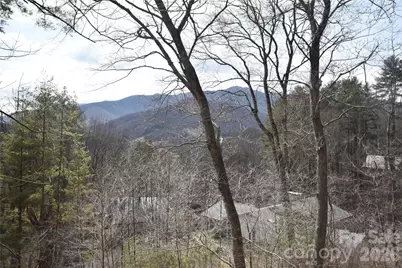 1299 Country Club Drive, Canton, NC 28716 - Photo 9