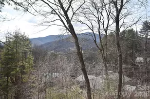 1299 Country Club Dr, Canton, NC 28716 - Photo 9