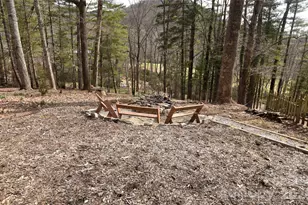 1299 Country Club Dr, Canton, NC 28716 - Photo 3